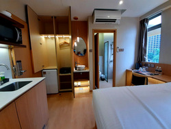 Mount Elizabeth Link (D9), Apartment #595188491